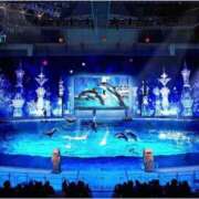 ヒメ日記 2025/11/19 13:44 投稿 ほうか 丸妻 横浜本店