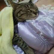 ヒメ日記 2025/11/23 18:13 投稿 ほうか 丸妻 横浜本店