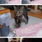 ヒメ日記 2025/11/24 13:09 投稿 ほうか 丸妻 横浜本店