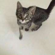 ヒメ日記 2025/11/25 08:41 投稿 ほうか 丸妻 横浜本店