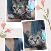 ヒメ日記 2025/11/29 09:07 投稿 ほうか 丸妻 横浜本店