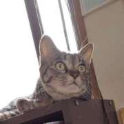 ヒメ日記 2025/12/04 13:58 投稿 ほうか 丸妻 横浜本店