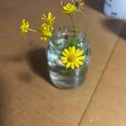 ヒメ日記 2025/11/29 21:54 投稿 垣内たなこ 五十路マダム愛されたい熟女たち 福山店(カサブランカグループ)