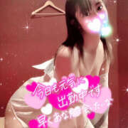 ヒメ日記 2025/11/20 11:03 投稿 みなと 折り紙 ORIGAMI