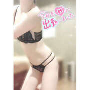 ヒメ日記 2025/11/28 09:18 投稿 みなと 折り紙 ORIGAMI