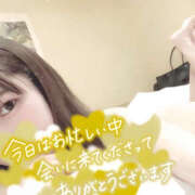 ヒメ日記 2025/11/28 13:18 投稿 みなと 折り紙 ORIGAMI