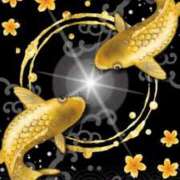 ヒメ日記 2025/12/29 11:20 投稿 きみか 熟女の風俗最終章 町田店