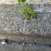 ヒメ日記 2026/02/23 10:10 投稿 きみか 熟女の風俗最終章 町田店