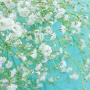 ヒメ日記 2025/11/23 00:12 投稿 中井ほのか ウフフな40。ムフフな50。。（横浜ハレ系）