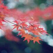 ヒメ日記 2025/11/26 21:36 投稿 中井ほのか ウフフな40。ムフフな50。。（横浜ハレ系）