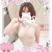 ヒメ日記 2025/12/24 20:20 投稿 みお One More 奥様 鶯谷店