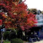 ヒメ日記 2025/11/30 09:30 投稿 新人・ようこ 人妻花かんざし