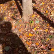 ヒメ日記 2025/12/07 21:00 投稿 新人・ようこ 人妻花かんざし