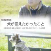 ヒメ日記 2026/01/05 20:21 投稿 ようこ 人妻花かんざし