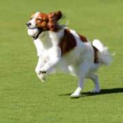 ヒメ日記 2026/01/10 09:07 投稿 ようこ 人妻花かんざし