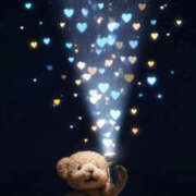 ヒメ日記 2026/01/21 20:10 投稿 ようこ 人妻花かんざし