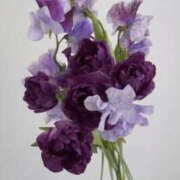 ヒメ日記 2026/01/25 10:12 投稿 ようこ 人妻花かんざし