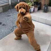 ヒメ日記 2026/02/03 08:44 投稿 ようこ 人妻花かんざし