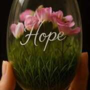 ヒメ日記 2026/02/15 19:03 投稿 ようこ 人妻花かんざし