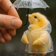 ヒメ日記 2026/02/17 08:22 投稿 ようこ 人妻花かんざし