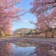 ヒメ日記 2026/02/20 12:30 投稿 ようこ 人妻花かんざし