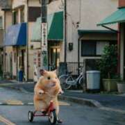 ヒメ日記 2026/02/24 20:53 投稿 ようこ 人妻花かんざし