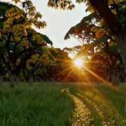 ヒメ日記 2026/02/28 09:07 投稿 ようこ 人妻花かんざし