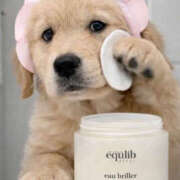 ヒメ日記 2026/03/02 20:30 投稿 ようこ 人妻花かんざし