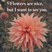 ヒメ日記 2026/03/12 08:12 投稿 ようこ 人妻花かんざし