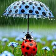 ヒメ日記 2026/03/23 09:53 投稿 ようこ 人妻花かんざし