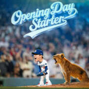 ヒメ日記 2026/03/27 08:40 投稿 ようこ 人妻花かんざし