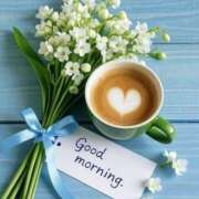 ヒメ日記 2026/03/28 08:34 投稿 ようこ 人妻花かんざし