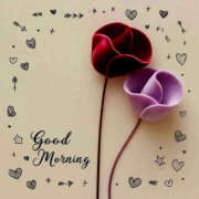 ヒメ日記 2026/04/08 09:20 投稿 ようこ 人妻花かんざし