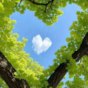 ヒメ日記 2026/04/11 08:25 投稿 ようこ 人妻花かんざし