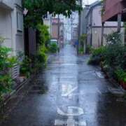 ヒメ日記 2026/05/22 09:03 投稿 ようこ 人妻花かんざし