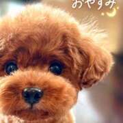 ヒメ日記 2026/10/01 20:37 投稿 ようこ 人妻花かんざし