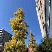 ヒメ日記 2025/11/28 10:40 投稿 新人・よしか 人妻花かんざし