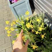 ヒメ日記 2026/02/04 10:56 投稿 よしか 人妻花かんざし