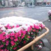 ヒメ日記 2026/02/09 10:50 投稿 よしか 人妻花かんざし