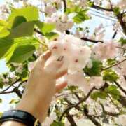 ヒメ日記 2026/02/20 10:00 投稿 よしか 人妻花かんざし