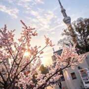 ヒメ日記 2026/02/28 10:50 投稿 よしか 人妻花かんざし