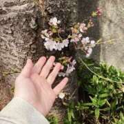 ヒメ日記 2026/03/17 11:00 投稿 よしか 人妻花かんざし