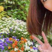 ヒメ日記 2026/04/13 11:10 投稿 よしか 人妻花かんざし