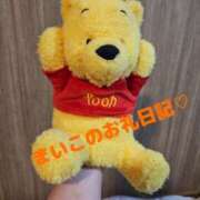 ヒメ日記 2025/11/26 22:09 投稿 まいこ 大阪和泉ちゃんこ