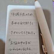 ヒメ日記 2025/11/27 23:49 投稿 まいこ 大阪和泉ちゃんこ