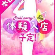 ヒメ日記 2025/11/18 15:30 投稿 るる びくびくサークル五反田店