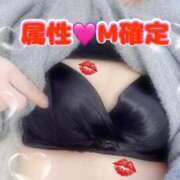 しずく いっぱい甘やかされたい🥹🩷 多恋人倶楽部周南店