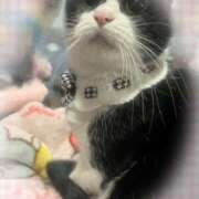 ヒメ日記 2026/03/06 21:51 投稿 虹羽 なぎ プルプルオフィスディーバ