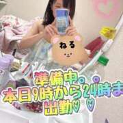 ヒメ日記 2025/12/04 07:28 投稿 ねる チューリップ土浦店