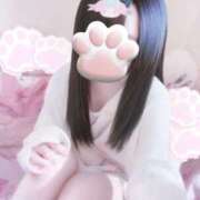 ヒメ日記 2025/11/26 15:06 投稿 ことり 新潟デリヘル倶楽部